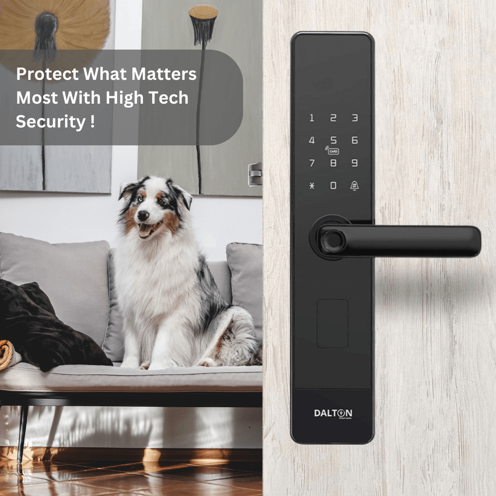 protect home with smart lock
