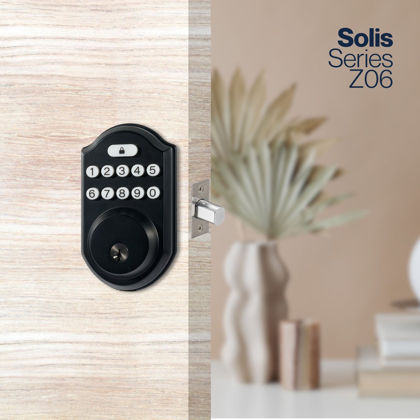 Z06 Pin Code Access Door Lock